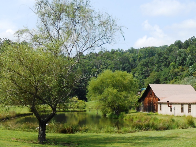 Scenic view from 339.