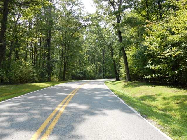 Heading into Fall Creek Falls State Park.