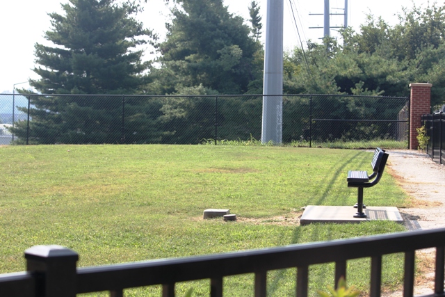 The park is completely fenced in to keep dogs safe.