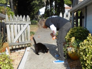 Jeff gives the cats a treat before we leave.