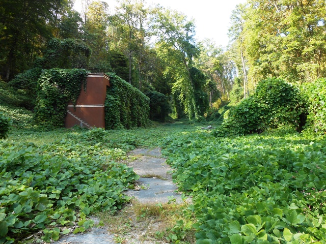 Kudzu fills the abandoned campus.
