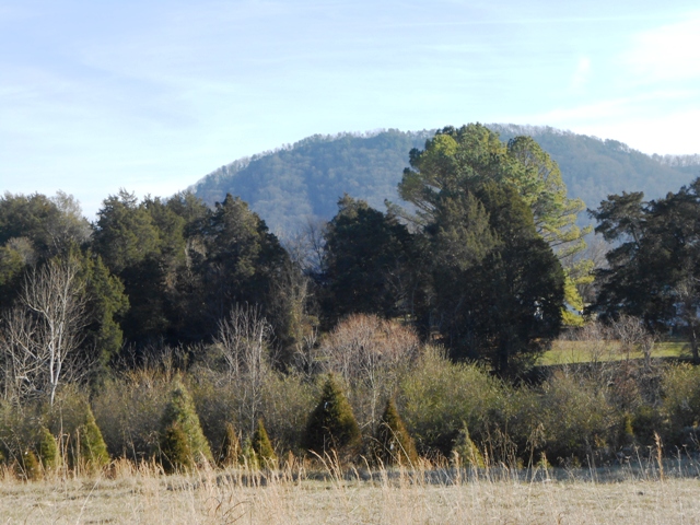 House Mountain in the background.