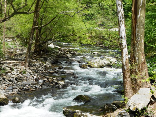 Closer view of the water.