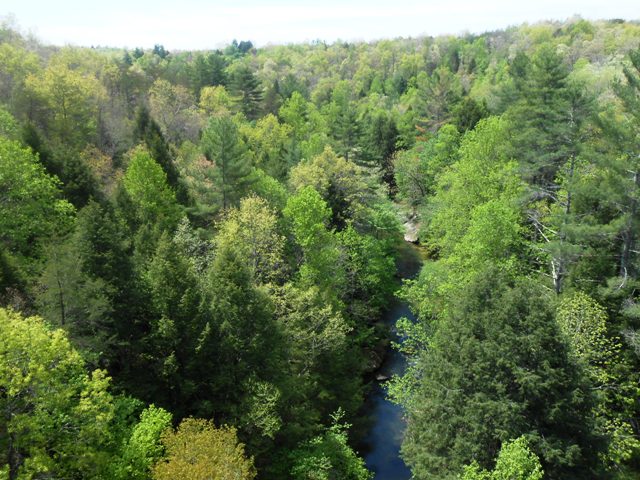 View of the gorge before Clark Range.