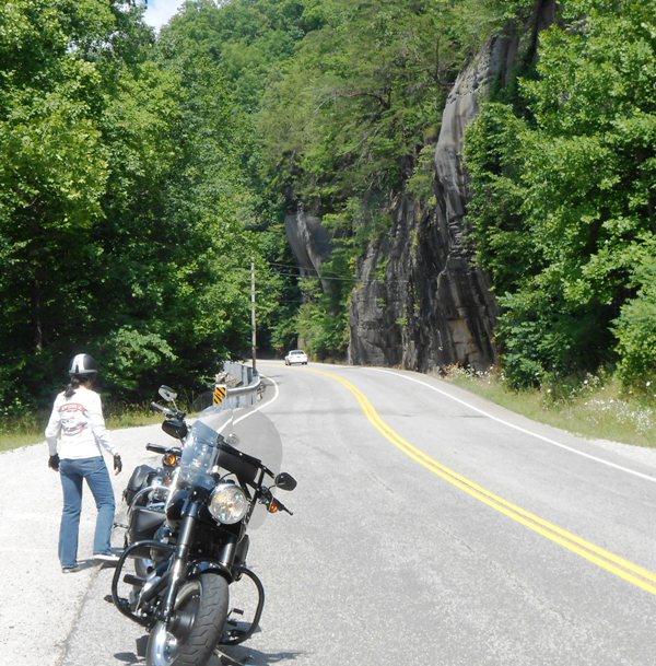 Pamo looking up at the rock wall along 25W.