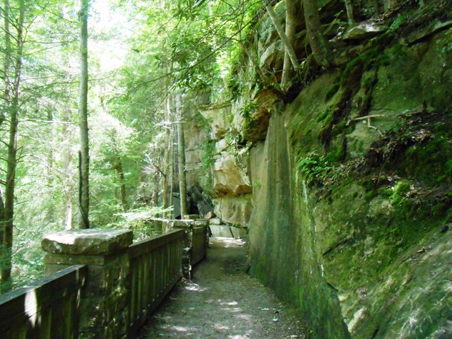 Then we walked down further to the beach area.