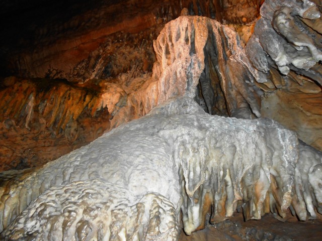 This is called Elephants foot. Easy to see why!