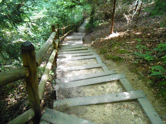 The trail is nicely maintained.