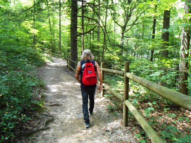 We continued the hike to Burgess Falls.