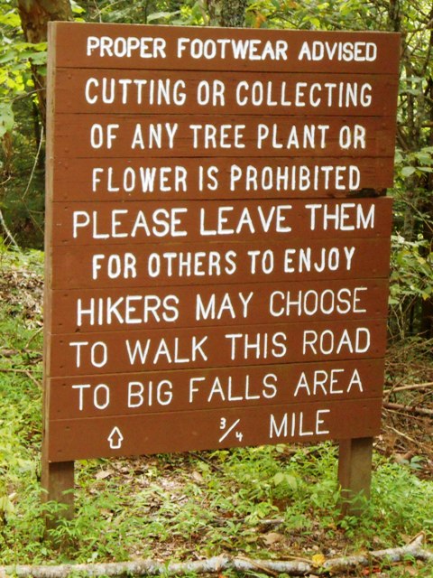 The service road is just off the parking lot. It's an alternative to the hiking trail.