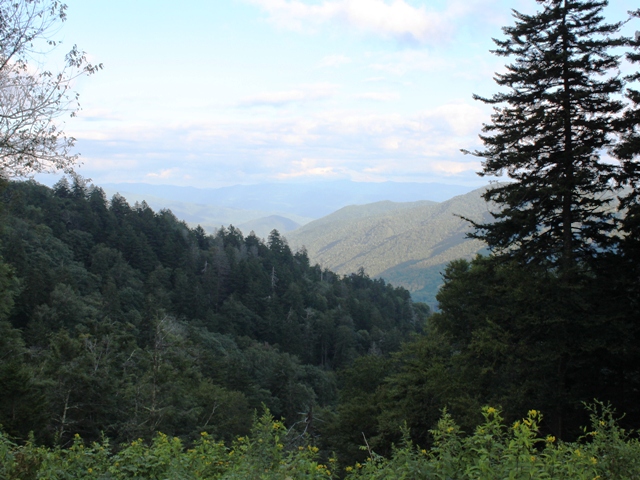 View from Newfound Gap.