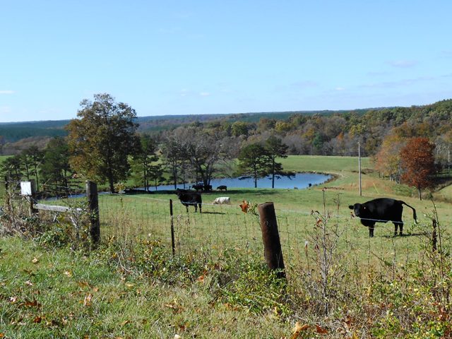 Nice scenic views traveling down 27.