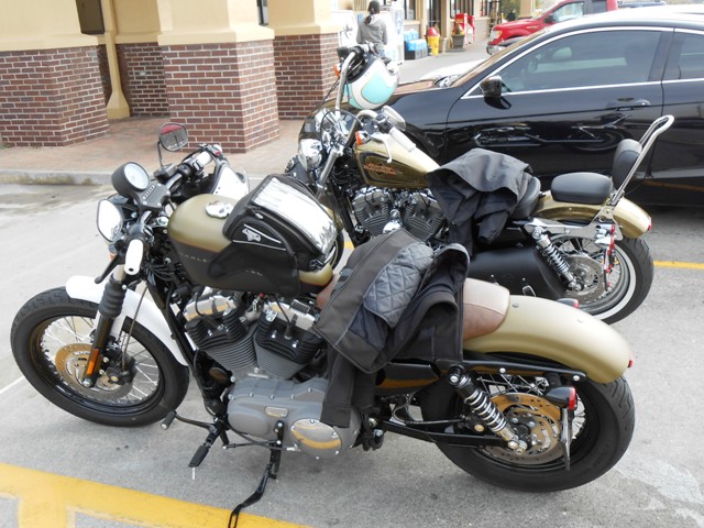 We rode our Sportster's today.