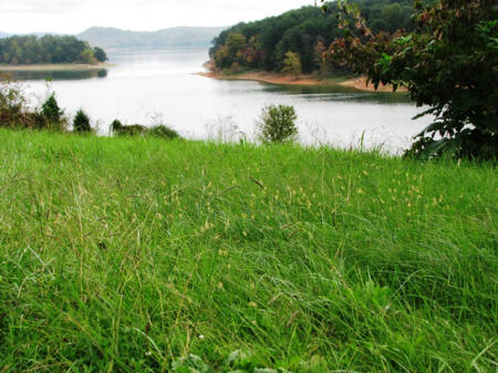 It's a beautiful road and we stopped to take a few photos of the water.