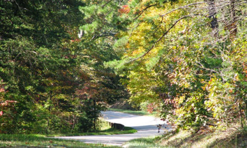 Some of the colors had changed- but it looks like the best is still to come in the next couple of weeks. 