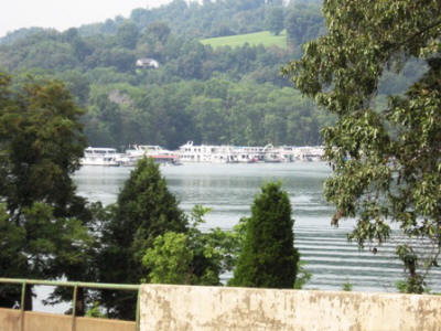 Looking at the marina.