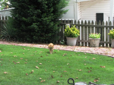 Freddie coming up to see us.