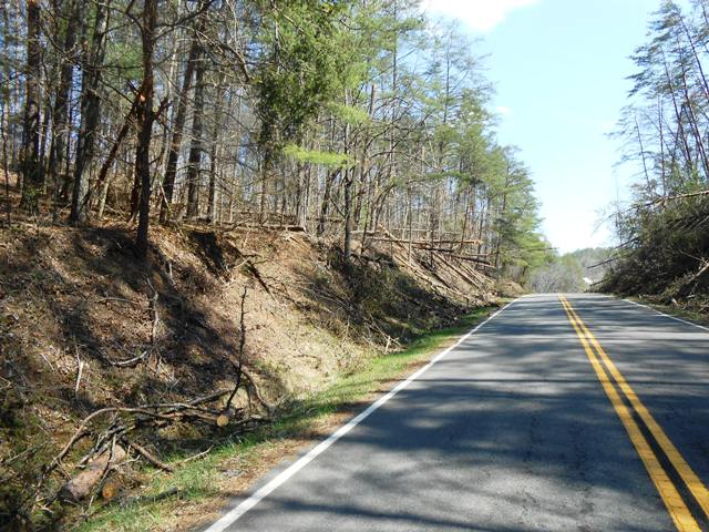 Note the downed trees along the side.