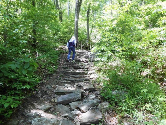 Then we hiked back up to the parking lot and overlook.