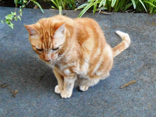 Dave wants to know when is dinner?