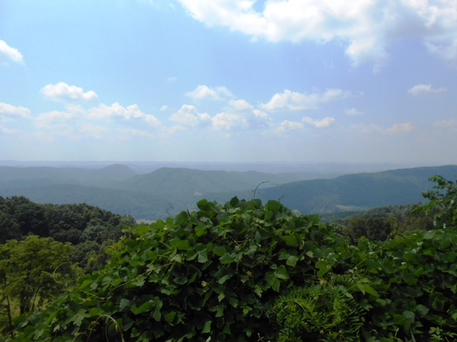 At an overlook in Virginia just above Pennington Gap.