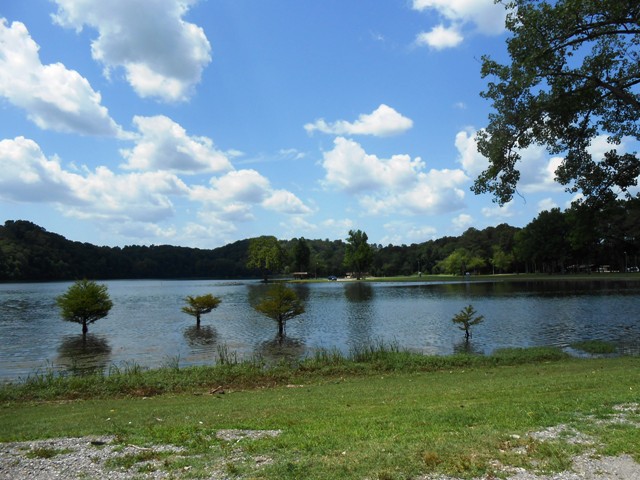 The water sure looks pretty.