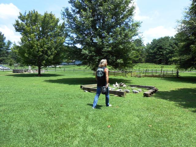 Grounds behind the cabin.