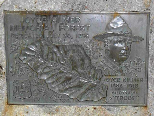 The forest is named for Joyce Kilmer who wrote the poem 'TREES'.