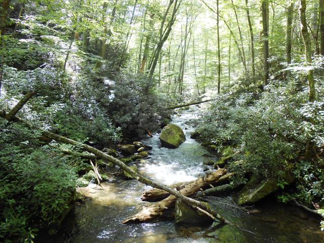 The scenery is gorgeous.