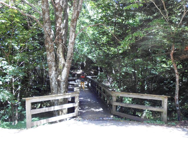 The trail head from the parking lot leading to the overlook.