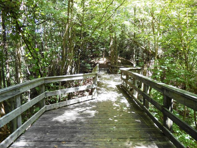 Almost to the overlook.