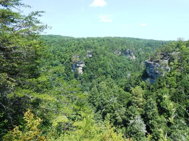 Another view from the Overlook.