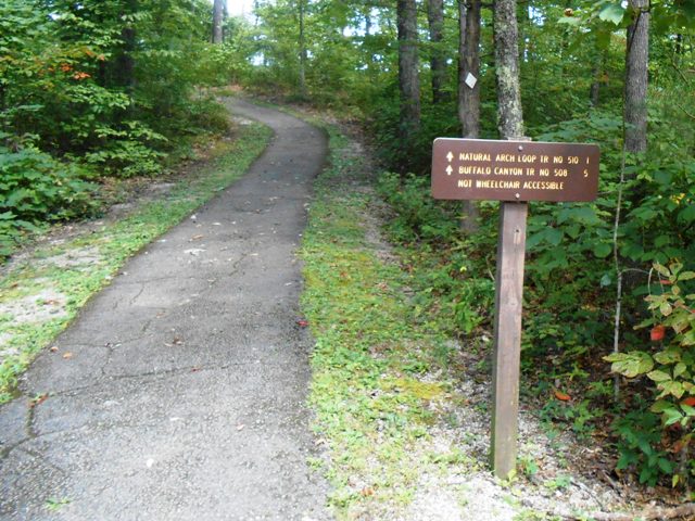 The trail head.