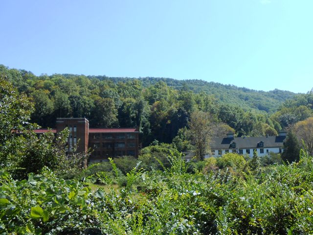 View of the buildings still standing.