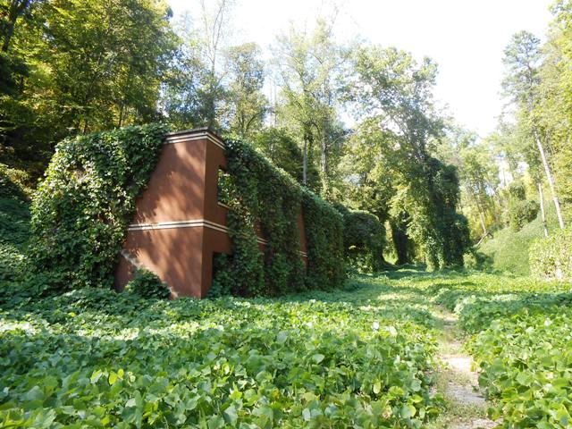 Hollowed out structures among the kudzu. 