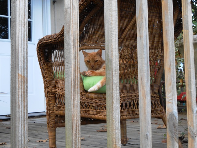 Dave is glad to have us home.