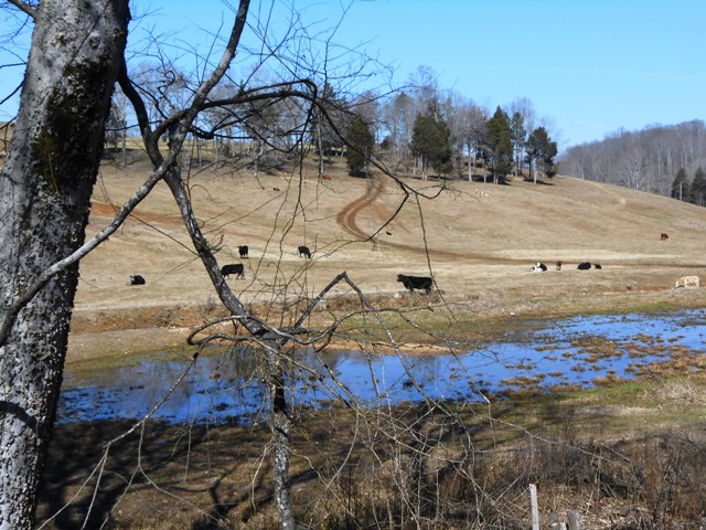 A nice roadside scene.