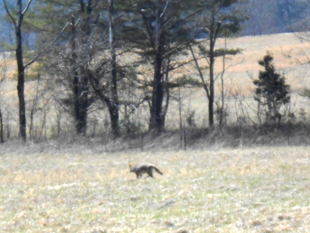 He doesn't seem to mind people staring at him.