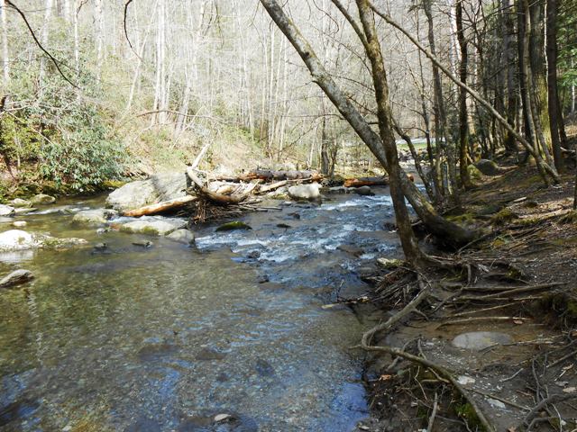 The Smoky Mountains are full of beauty.