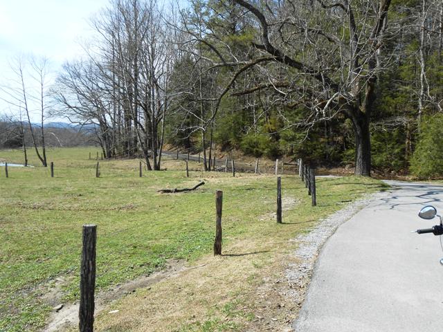 Already, it's easy to see how pretty this area is.