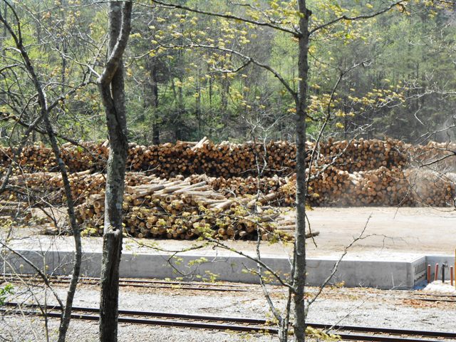 Now Old 63 is mostly a logging road.