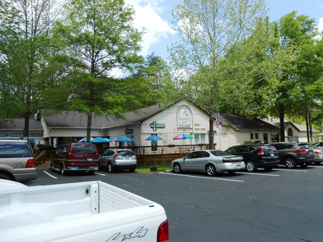 View of the Pittman Center just outside of Gatlinburg.