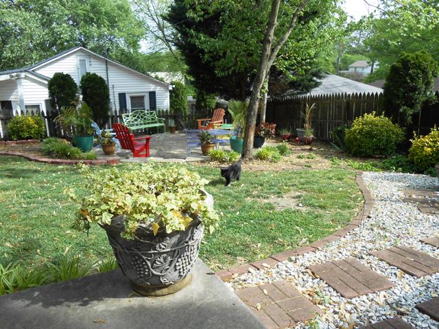 There's one of our cats coming up to say hello.