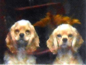 The girls wonder where we are going.