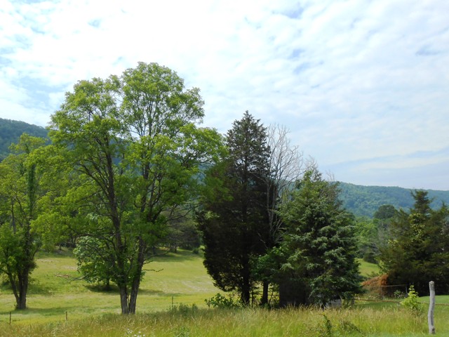 Roadside view in Washburn.