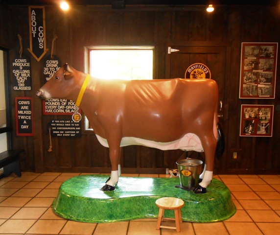 This life size cow is a big hit with kids! (Including us grown up kids.)