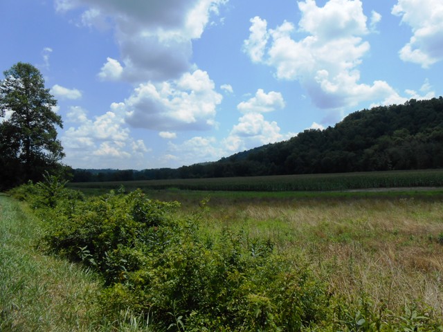 Beautiful scenery. (This is Scott County just after crossing over from Morgan County.)