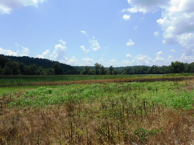 Another view of the beautiful countryside.