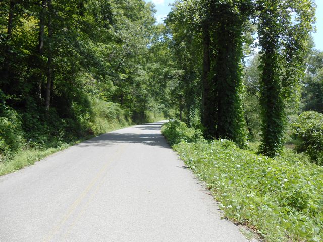 And this is the way we're headed.