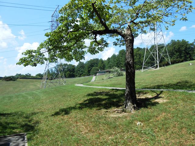 A nice picnic area below the East Visitor Center.